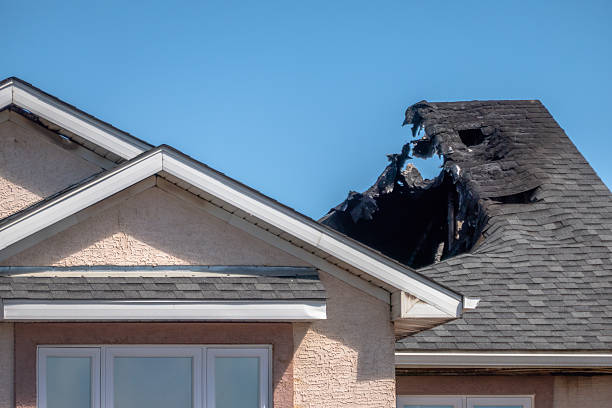 Top rated local Board Up Services specialists in Delano, MN